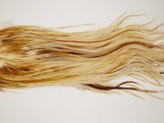 12332 JimsFlyCo Dry Fly Hackle Grade 2 Rooster Saddle Variant Ties Size 12-14