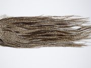 12338 Beaverkill Dry Fly Hackle Rooster Saddle Dun Grizzly Ties Size 12-14