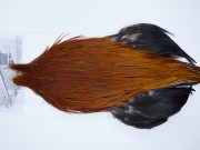 12339 Beaverkill Dry Fly Hackle Rooster Cape Brown Ties Size 10-20