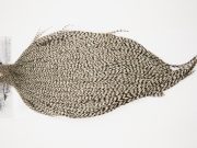 12340 Beaverkill Dry Fly Hackle Rooster Cape Grizzly Ties Size 10-18