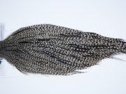 12341 Beaverkill Dry Fly Hackle Rooster Cape Grizzly Variant Ties Size 8-20