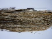 1622 Whiting Wet Fly Hackle Silver Grade Midge Saddle Barred Medium Ginger Ties Size 16-20