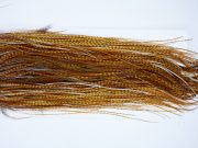 1672 Whiting Wet Fly Hackle Pro Grade Midge Saddle Dark Barred Ginger Ties Size 16-20