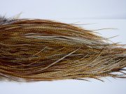 1681 Whiting Wet Fly Hackle Pro Grade Midge Saddle Dark Barred Ginger Ties Size 18-20