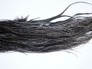 2105 Yellowstone Dry Fly Hackle Rhodium Rooster Saddle Grizzly Variant Ties Size 16-18