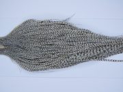 2346 Yellowstone Dry Fly Hackle Grade 1 Rooster Cape Grizzly Variant Ties Size 8-22