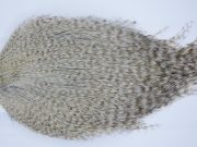 2606 Coq De Leon Dry Fly Hackle None Rooster Cape Grizzly Pardo Ties Size NA