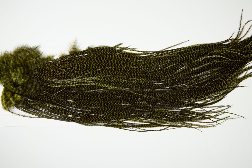 6560 Whiting Dry Fly Hackle Silver Grade Rooster Saddle Grizzly Dark Olive Ties Size 14