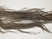 7216 JimsFlyCo Dry Fly Hackle Grade 1 Rooster Saddle Grey Dun Badger Ties Size 12