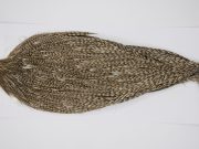 12298 Beaverkill Dry Fly Hackle Rooster Cape Variant Ties Size 10-20