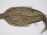 12304 Beaverkill Dry Fly Hackle Rooster Cape Variant Ties Size 10-22