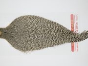 12392 Whiting Dry Fly Hackle Pro Grade Rooster Cape Grizzly Ties Size 10-22