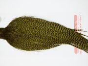 12400 Whiting Dry Fly Hackle Pro Grade Rooster Cape Grizzly Dark Olive Ties Size 10-22