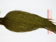 12400 Whiting Dry Fly Hackle Pro Grade Rooster Cape Grizzly Dark Olive Ties Size 10-22