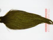 12402 Whiting Dry Fly Hackle Pro Grade Rooster Cape Grizzly Dark Olive Ties Size 10-20
