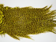 12437 Coq De Leon Dry Fly Hackle Bronze Grade Rooster Saddle Yellow Ties Size NA