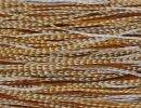 Whiting Heritage Dun Cree Hackle color