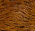 Freshwater Streamer Badger Brown-thumb