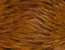 Freshwater Streamer Badger Brown-thumb