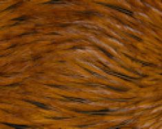 Freshwater Streamer Badger Brown-thumb