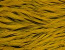 Freshwater Streamer Badger Copper Olive-thumb