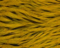 Freshwater Streamer Badger Copper Olive-thumb