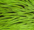 Freshwater Streamer Badger Fl. Green Chartreuse-thumb