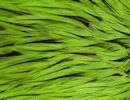 Freshwater Streamer Badger Fl. Green Chartreuse-thumb