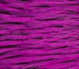 Freshwater Streamer Badger Pink-thumb