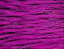 Freshwater Streamer Badger Pink-thumb