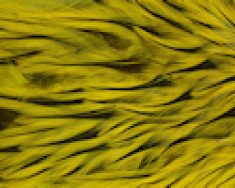 Freshwater Streamer Badger Yellow-thumb