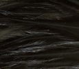Freshwater Streamer Black-thumb