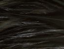 Freshwater Streamer Black-thumb