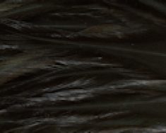 Freshwater Streamer Black-thumb