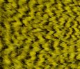 Freshwater Streamer Grizzly Yellow-thumb