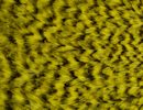 Freshwater Streamer Grizzly Yellow-thumb