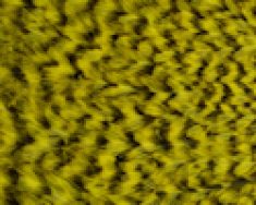 Freshwater Streamer Grizzly Yellow-thumb
