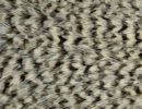 Freshwater Streamer Grizzly-thumb