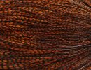 Grizzly dyed Brown