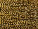 Grizzly dyed March Brown