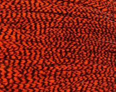 Grizzly dyed Orange