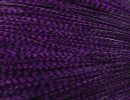 Grizzly dyed Purple