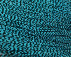 Grizzly dyed Silver Doctor Blue Grizzly dyed Silver Doctor Blue