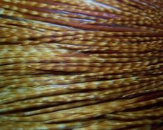 Whiting Dark Barred Ginger Hackle