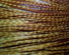 Dark Barred Ginger Whiting Dark Barred Ginger Hackle