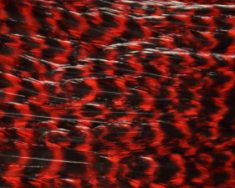 JFCHC-GrizzLy-Red
