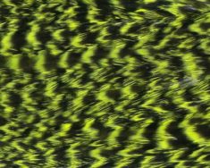 Series-JFCHC-Grizzly-dyed-Yellow-Chartreuse