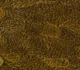 Speckled Copper Olive