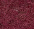 Speckled Pink