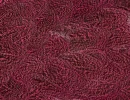 Speckled Pink